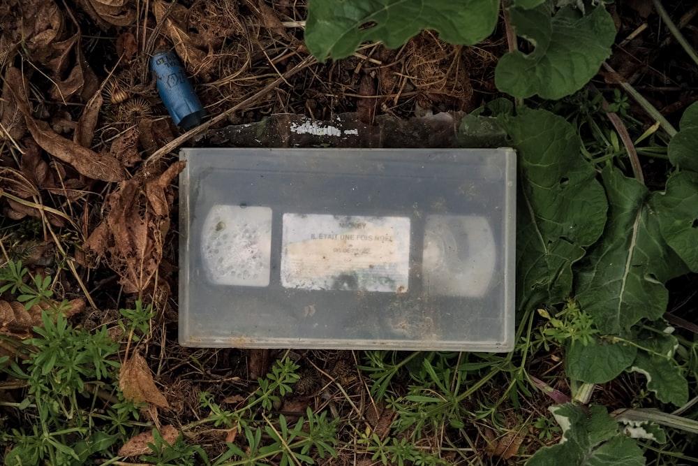 clear glass container on brown dried leaves