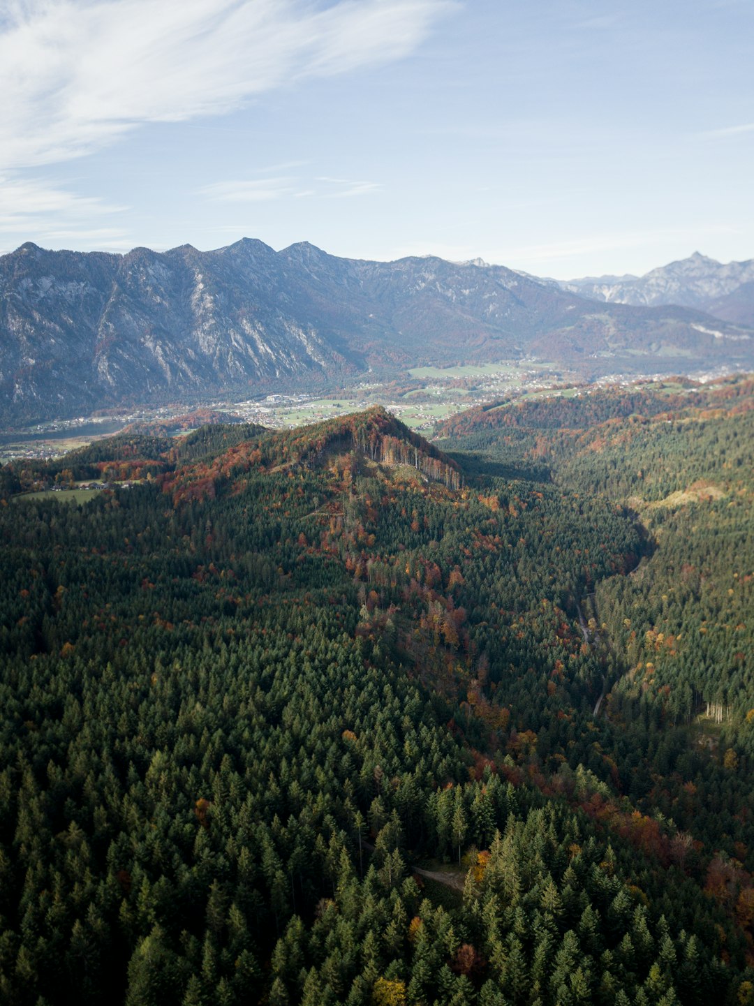 green trees on mountain under blue sky during daytime