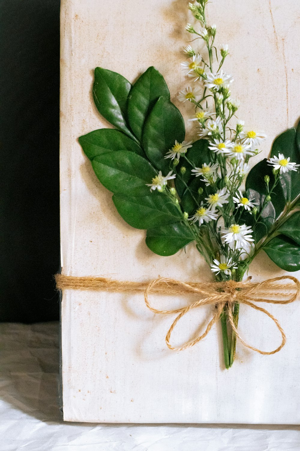 green plant on white wooden table