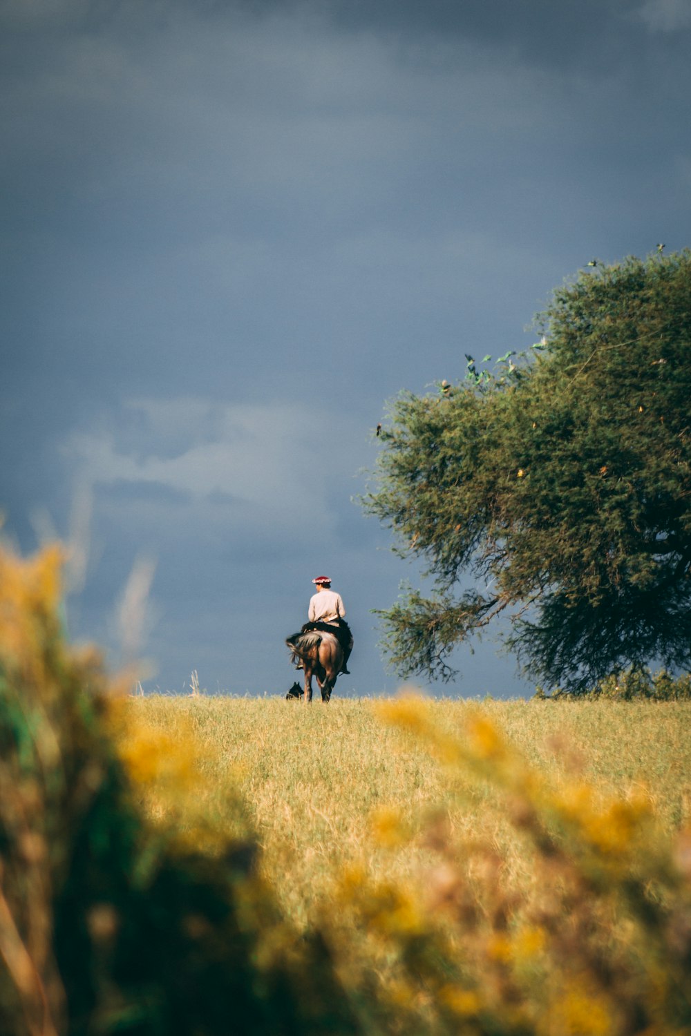 man riding horse on green grass field during daytime