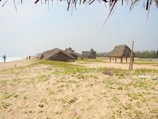A beach scene with several thatched-roof huts scattered on sandy terrain. Sparse vegetation with green vines and purple flowers grows on the sand. The ocean is visible to the left with gentle waves, and a few people stroll along the shoreline. The sky is clear with a soft haze in the background.