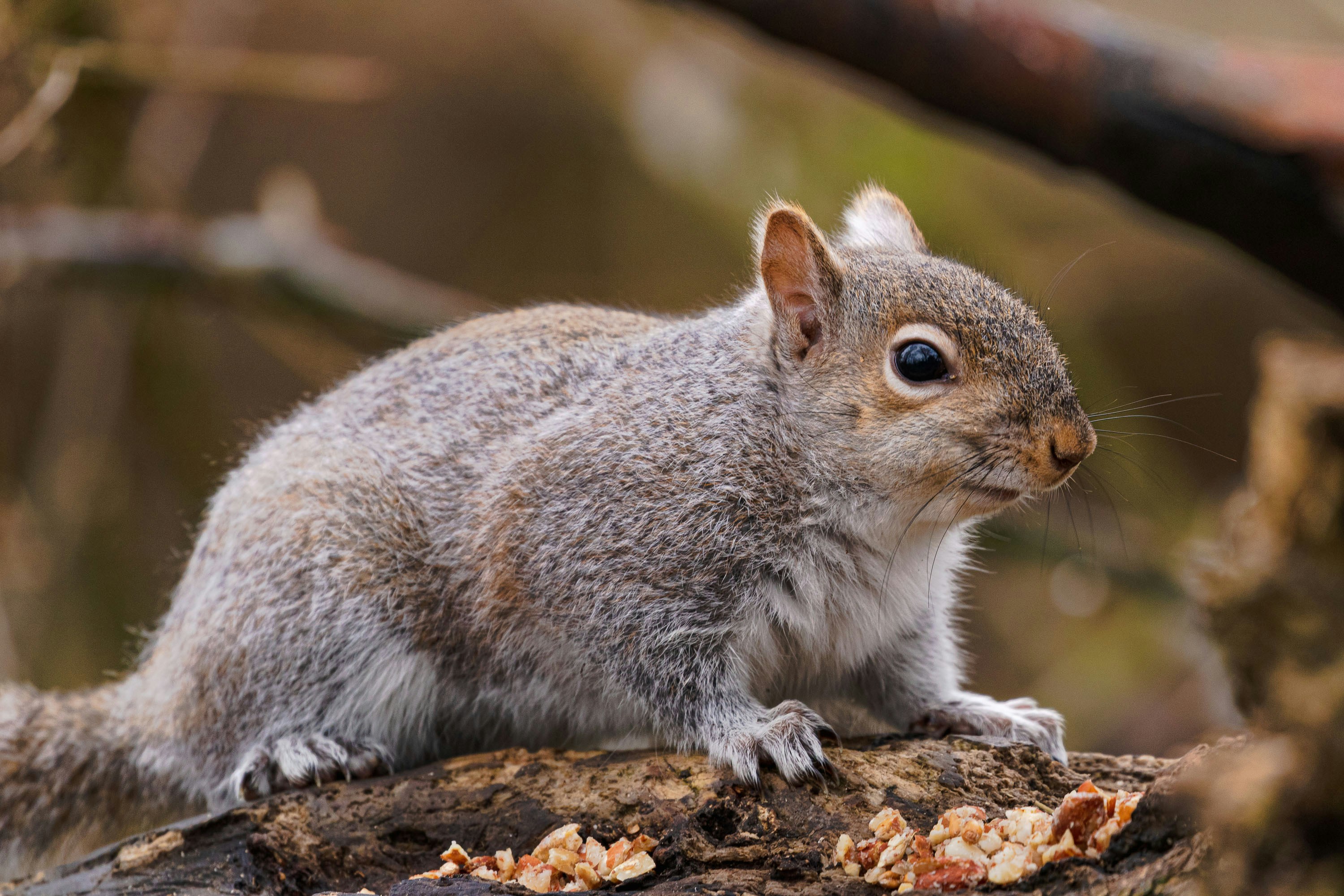 Photo by itscakefortea