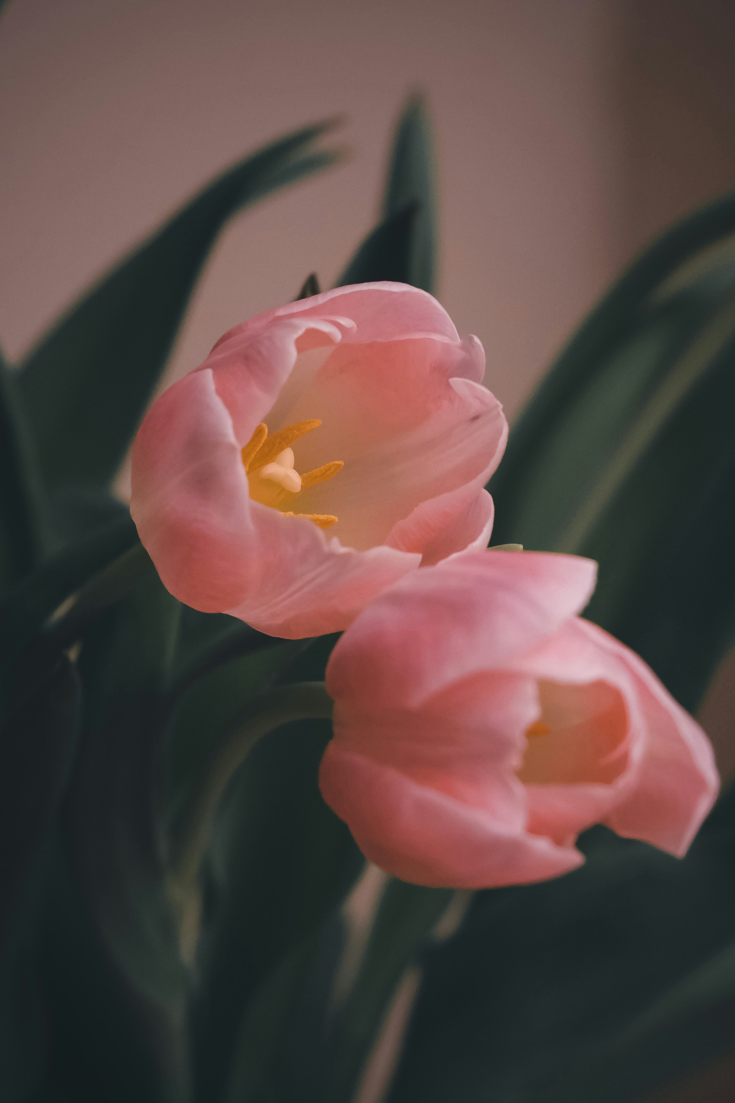 Photo by create4eyes