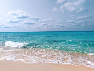 ocean waves crashing on shore during daytime