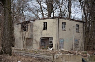 An abandoned, two-story brick building stands in a wooded area, with broken windows and boarded-up entrances. The area surrounding the building is covered in leafless trees and dry, brown foliage, indicating a winter or early spring setting. Graffiti is visible on the structure, adding to the sense of neglect and decay.