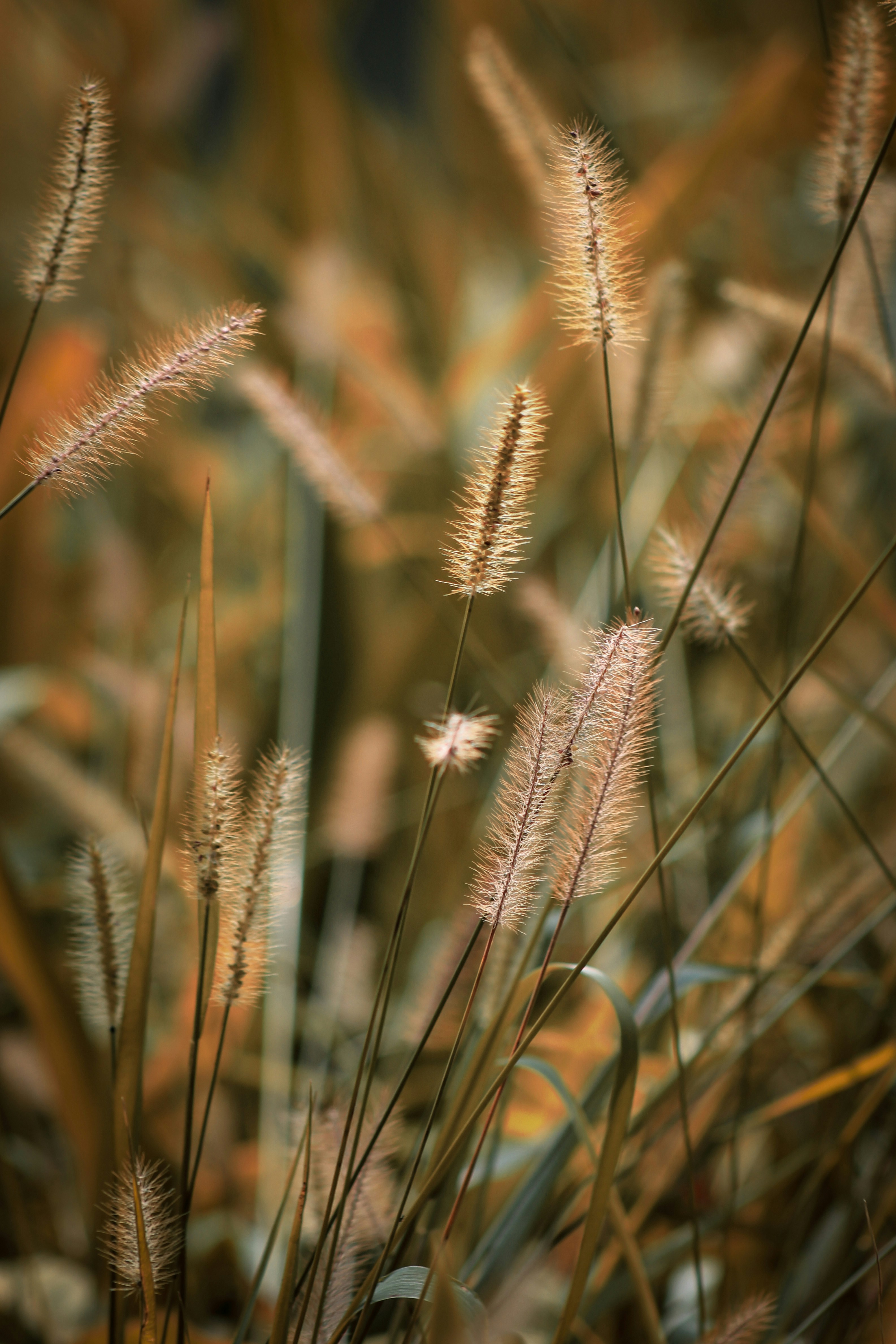 Photo by patriciazarpelom