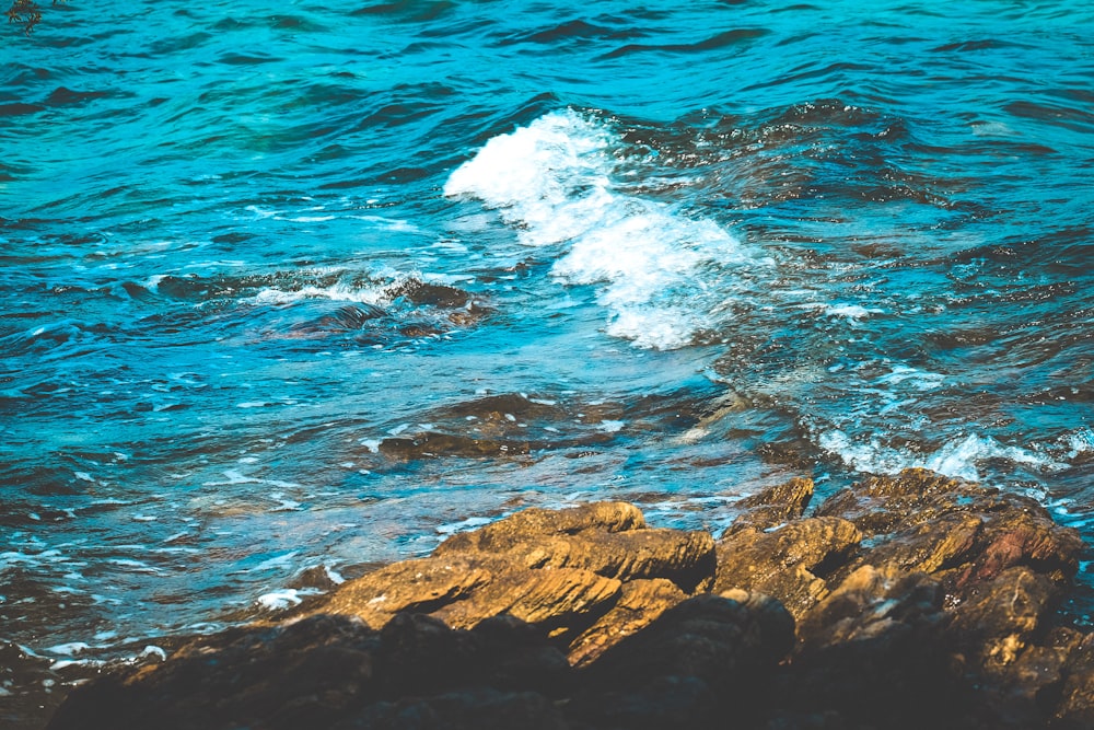 rivage rocheux brun avec les vagues de l’océan pendant la journée
