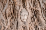 brown concrete face carved on brown tree