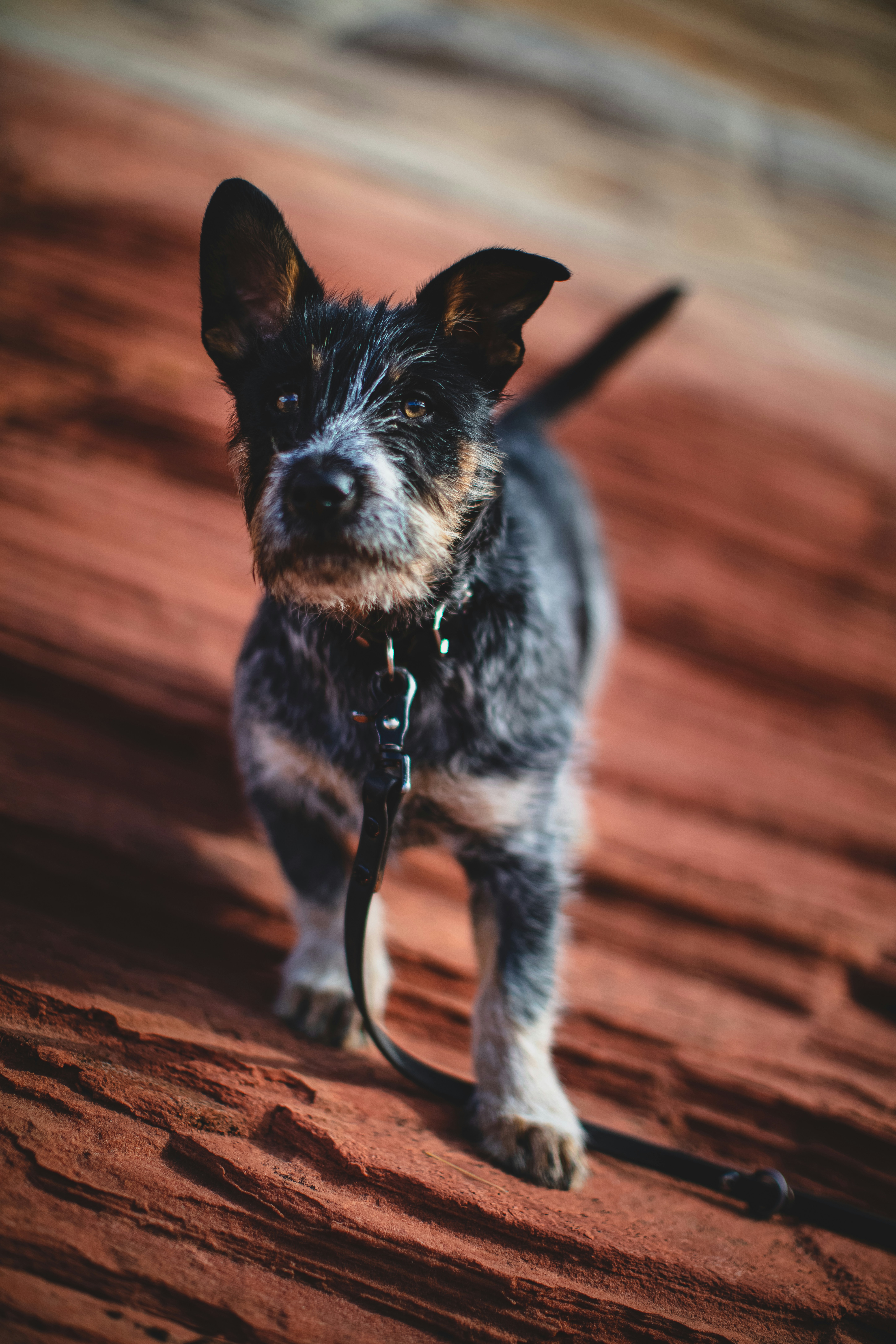 Photo by worldsbetweenlines