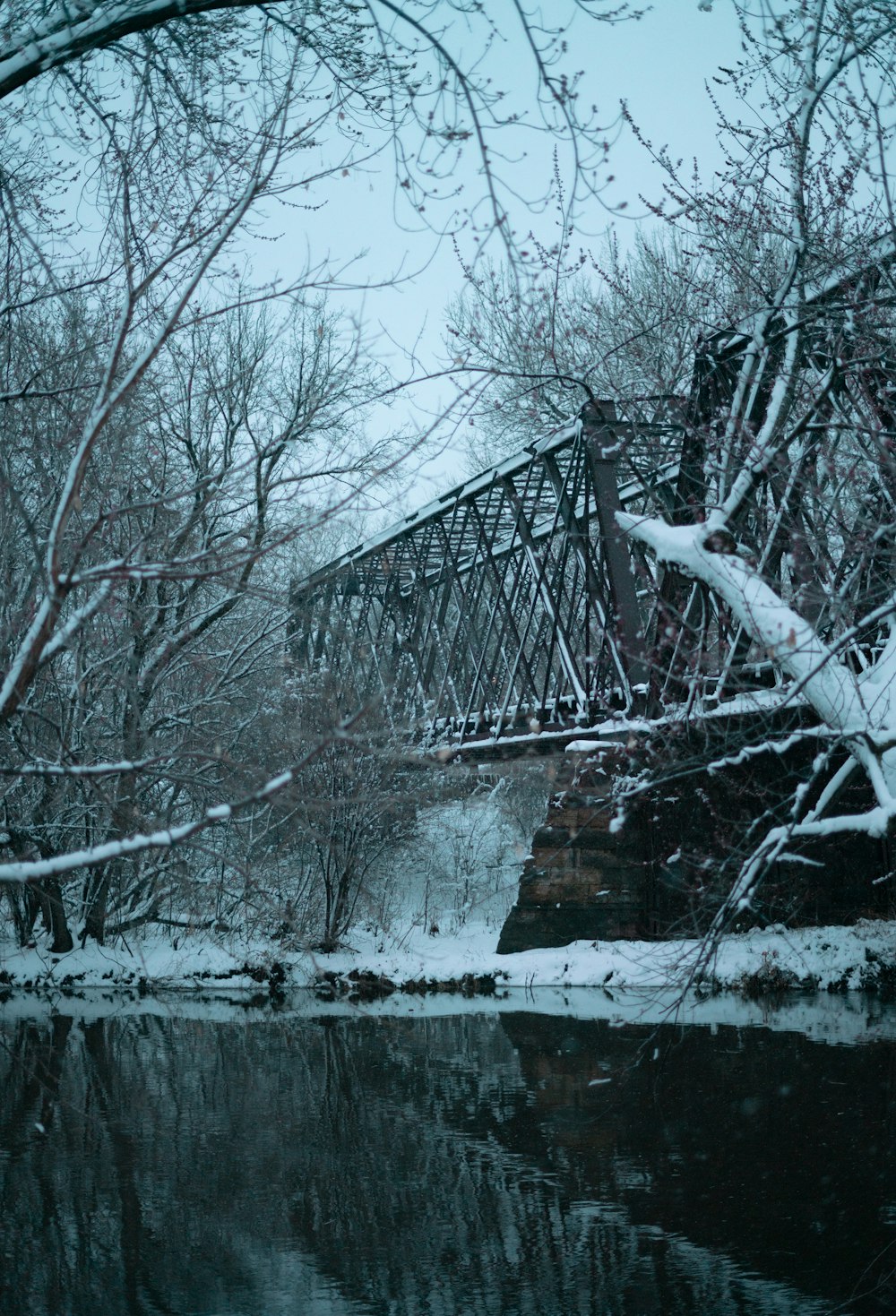 grayscale photo of bare trees near body of water