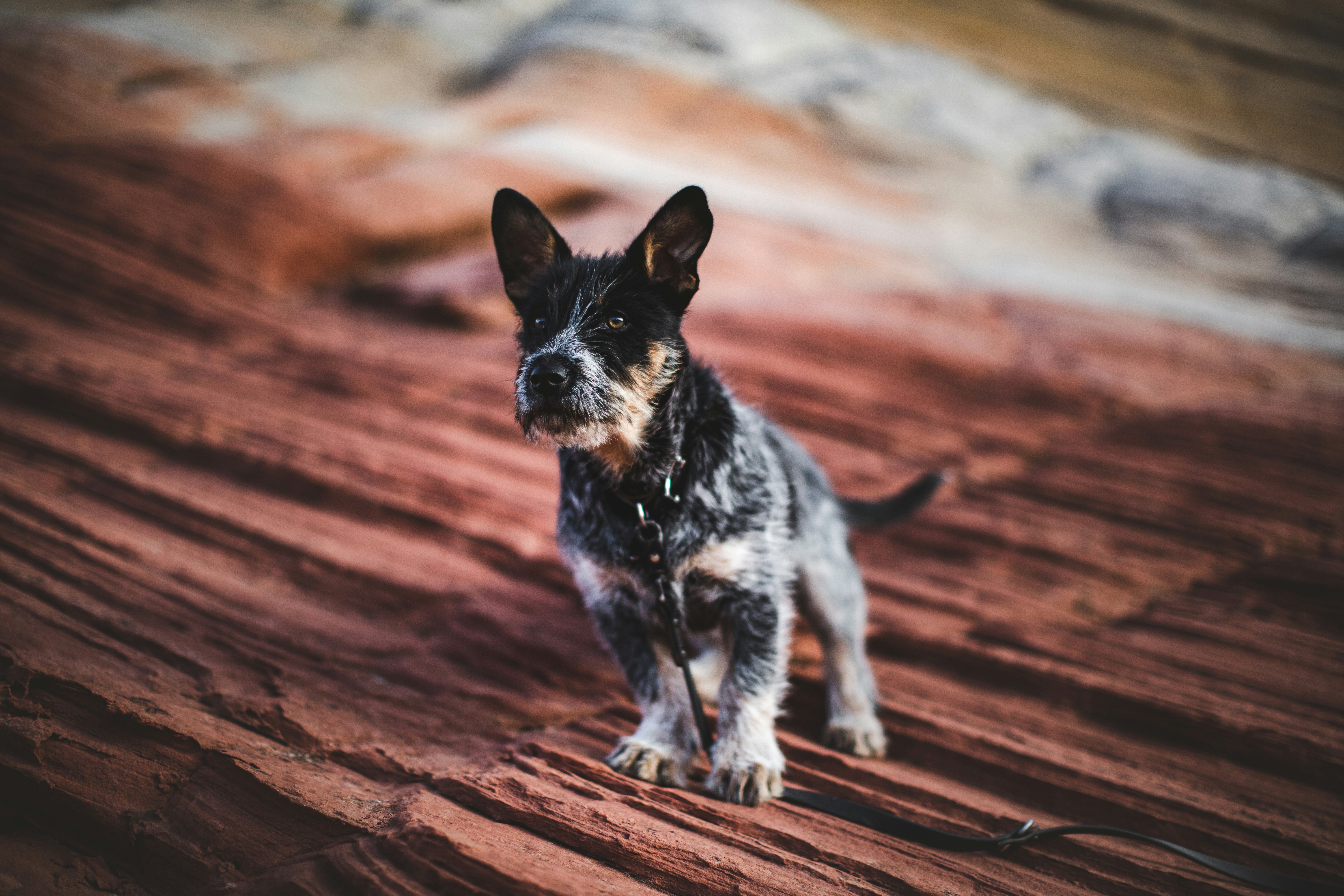 Photo by worldsbetweenlines