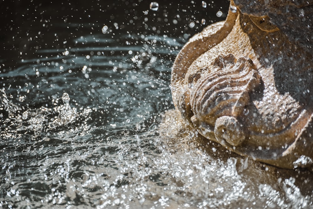 brown wooden fish on water