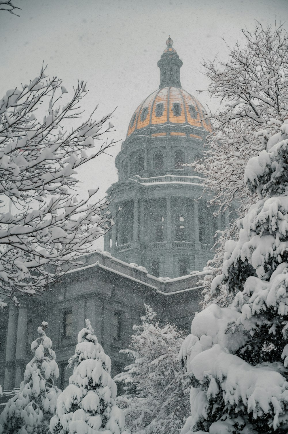 white and brown concrete building near trees covered with snow