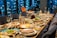 A dining table is elegantly set with diverse plates of food, including salads and entrees. Crystal glasses and cutlery are arranged alongside pitchers of beverages. The background features a window with a view of city lights, creating a cozy and sophisticated atmosphere.