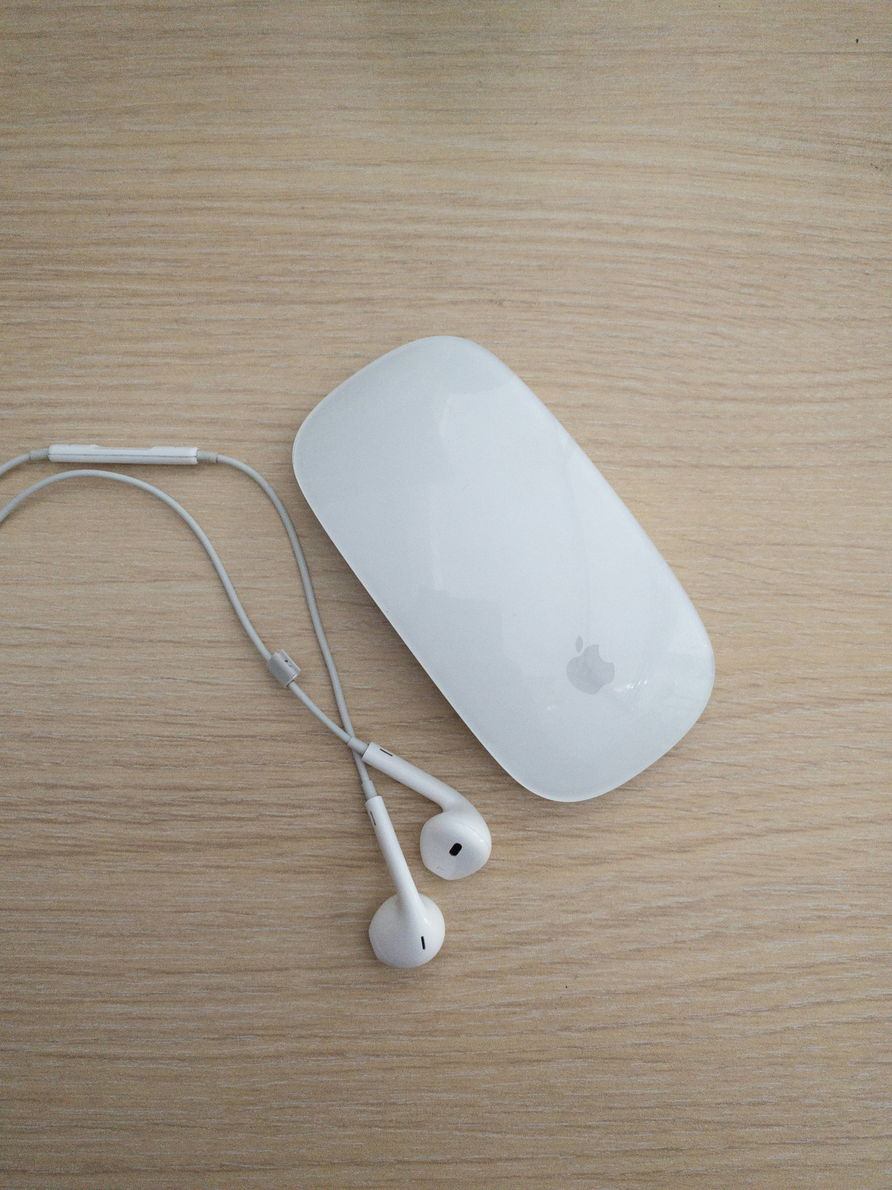 The Best Silent Bluetooth Mice for Libraries, Coworking Spaces, and Travel