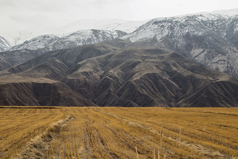 brown grass field near mountain under white sky during daytime