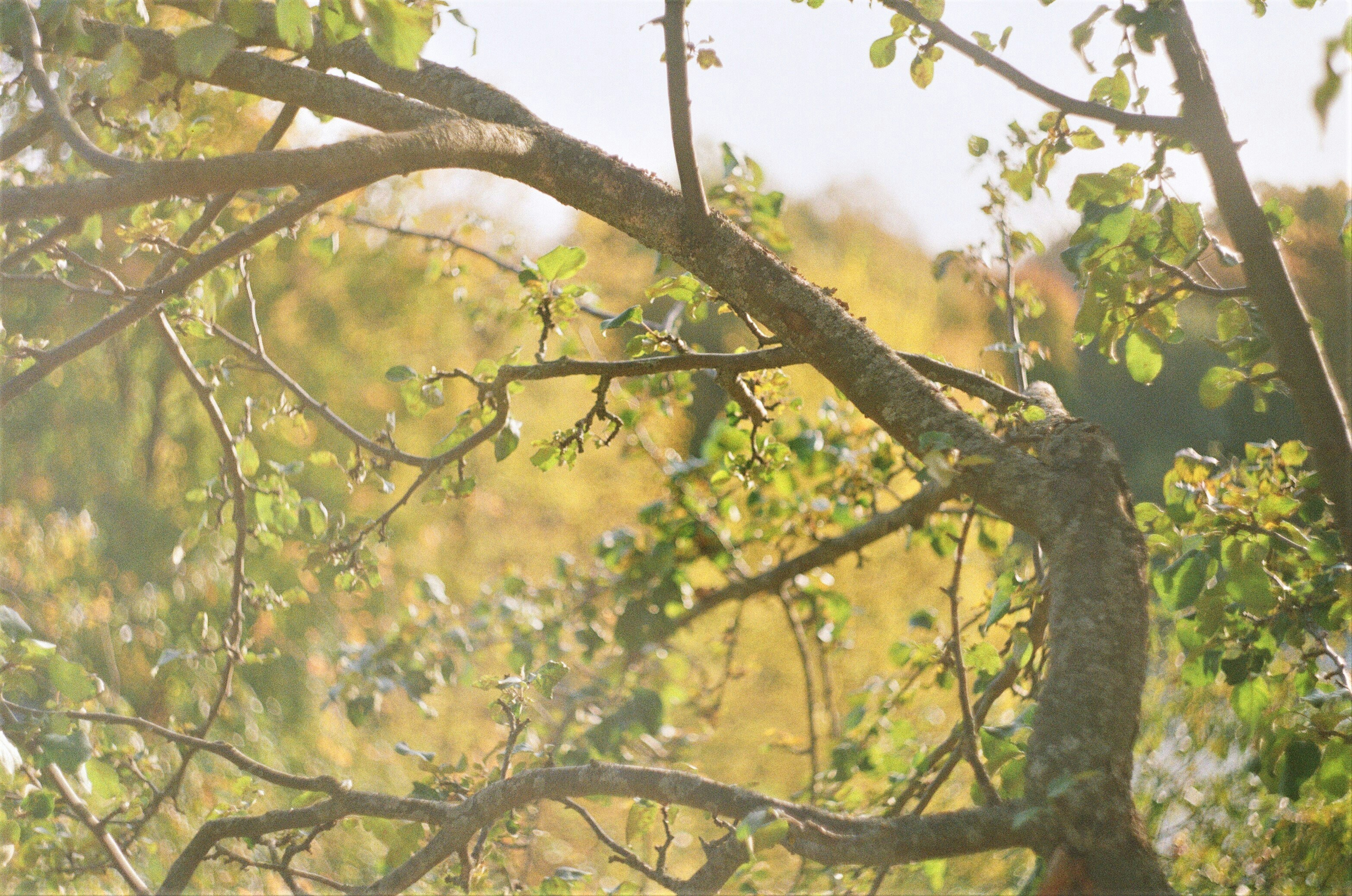 Photo by olgaanoshkina