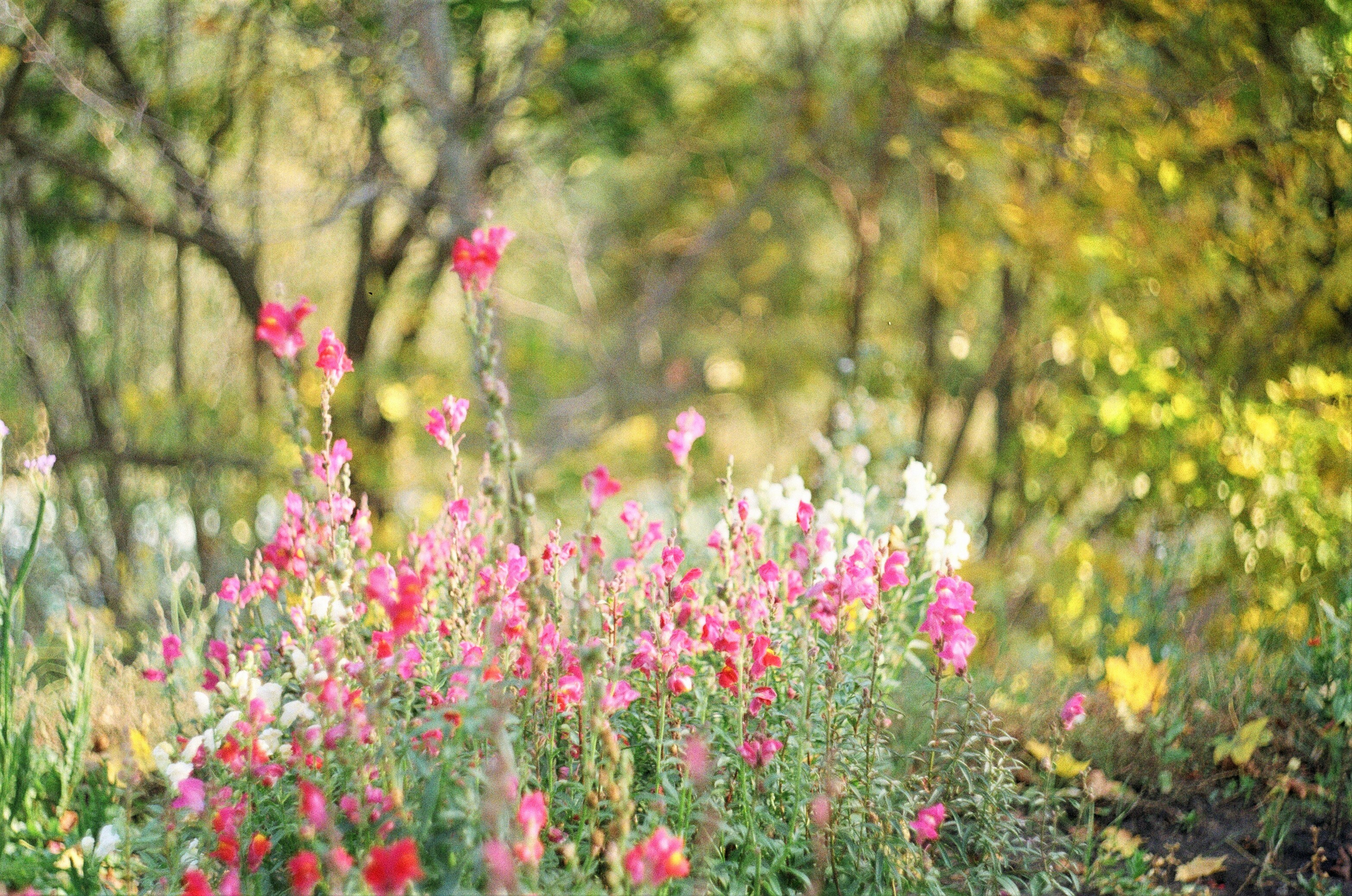 Photo by olgaanoshkina