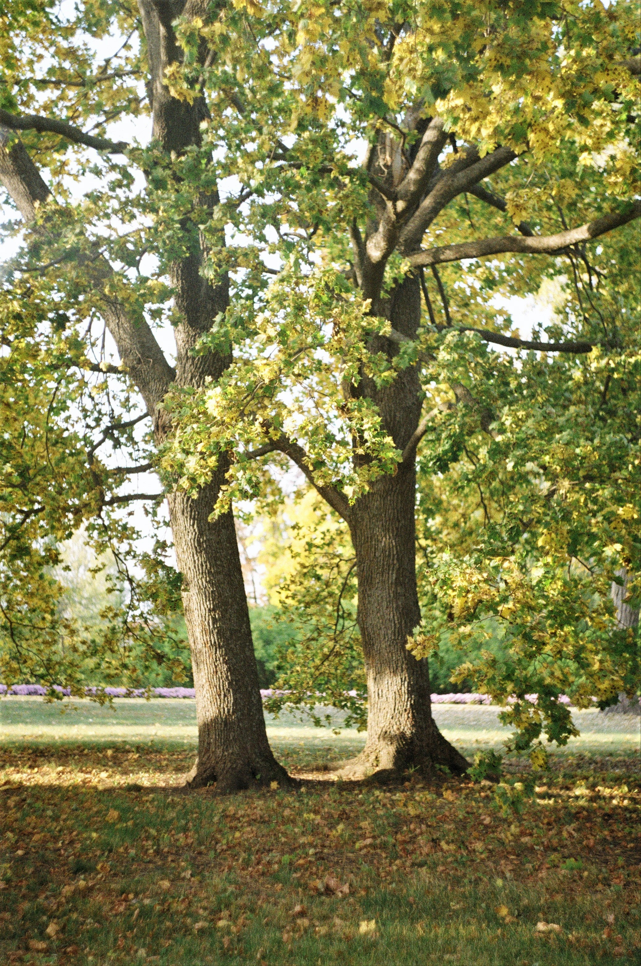 Photo by olgaanoshkina