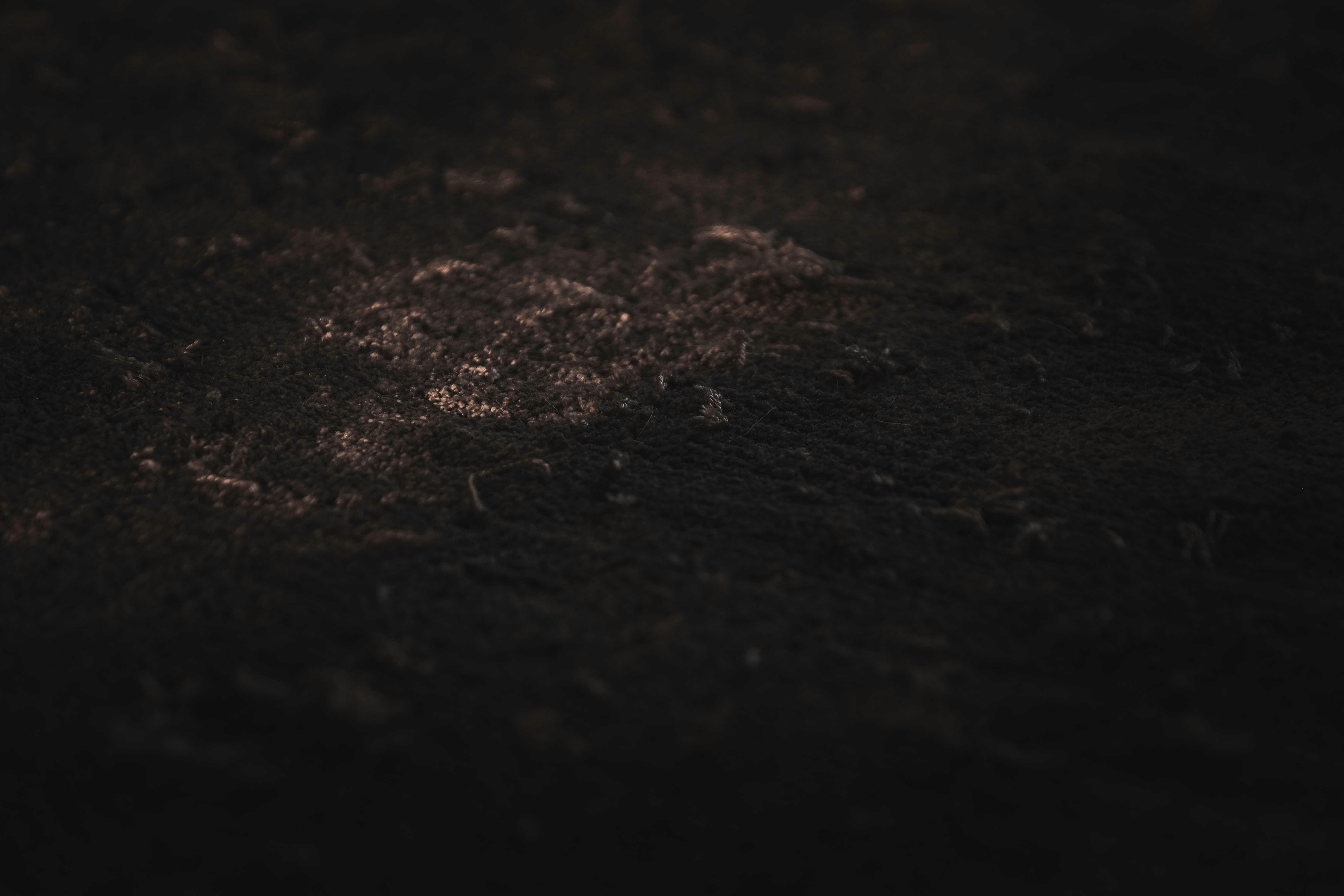 Photo by francesco_ungaro