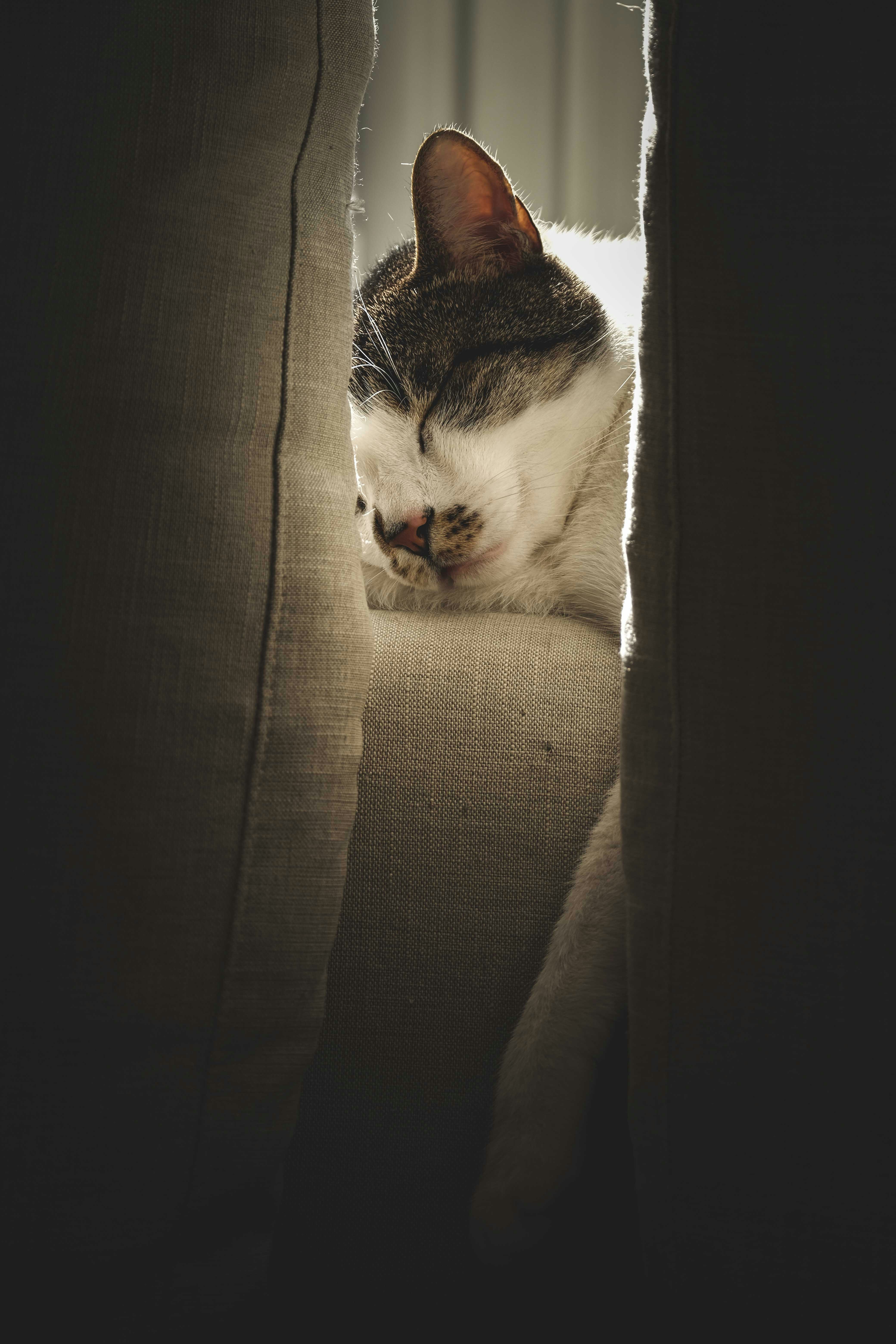 Photo by francesco_ungaro