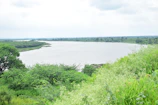 The wide Niger river flowing peaceful through the green landscape near Bamako.
