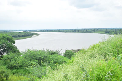 The wide Niger river flowing peaceful through the green landscape near Bamako.