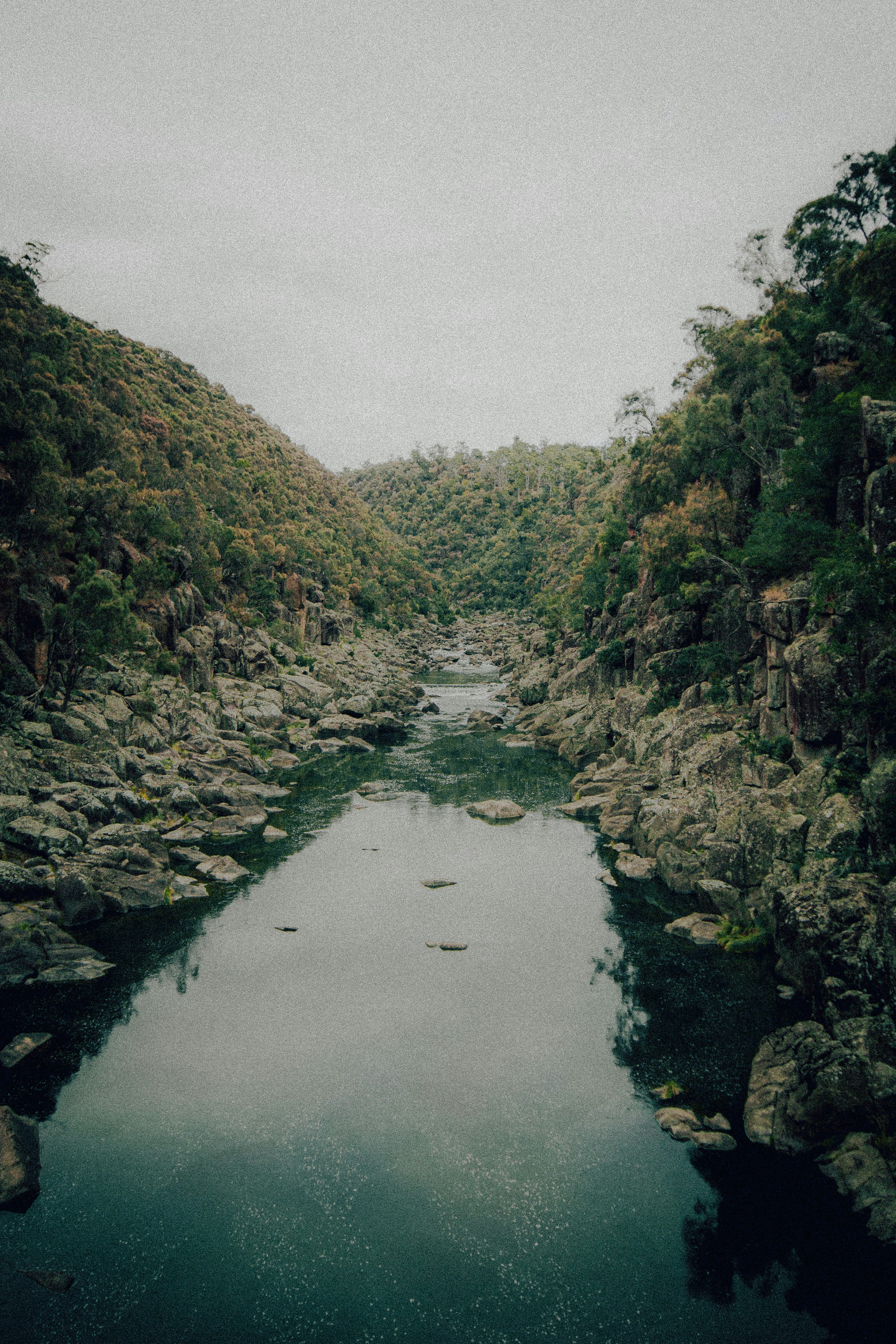 Photo by bellafosterdesign