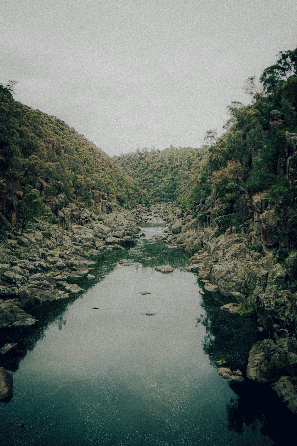 river in between green trees and mountains during daytime