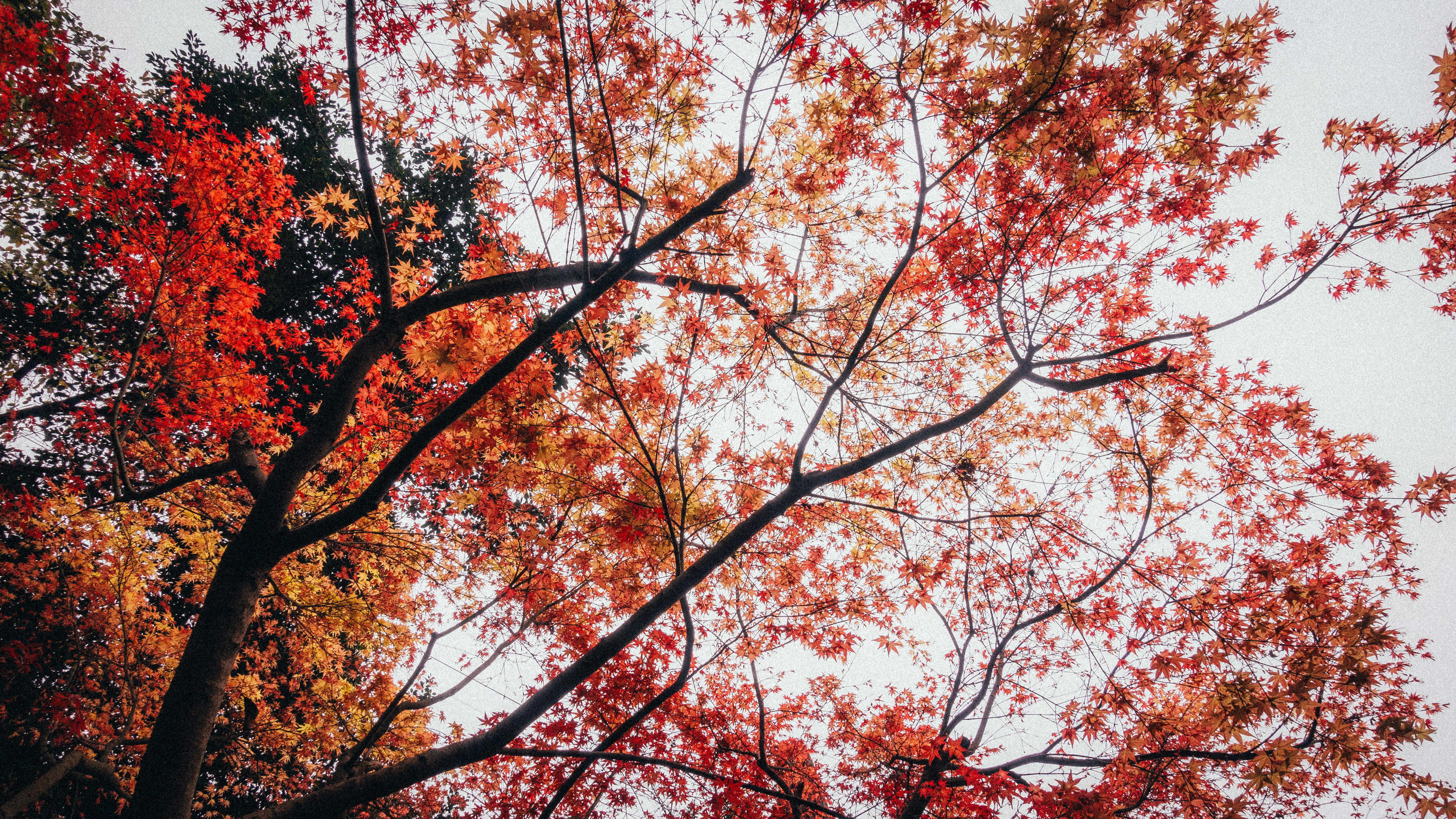 Photo by hypocriteeeee