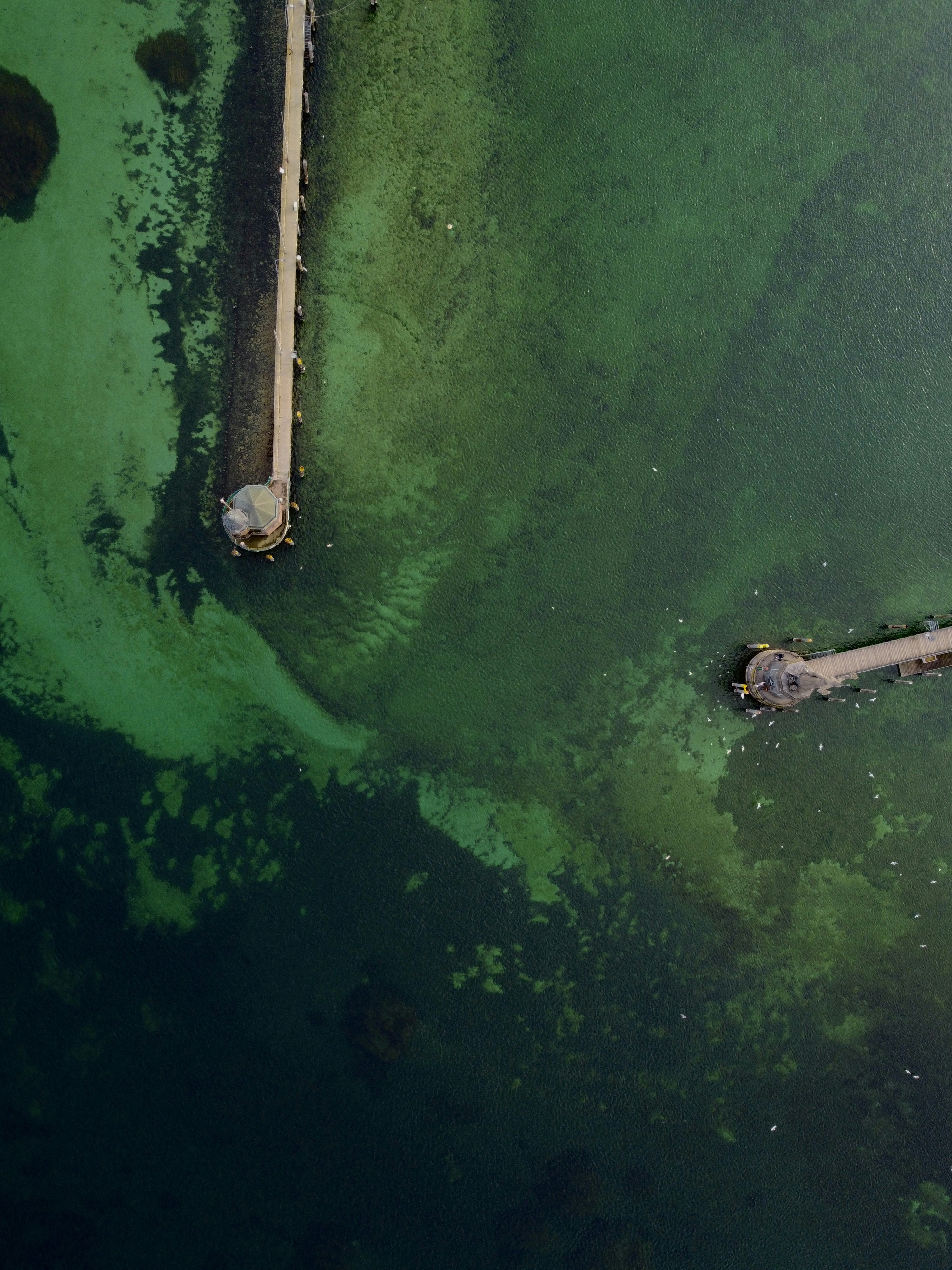 Photo by michael_ender