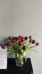red tulips in clear glass vase