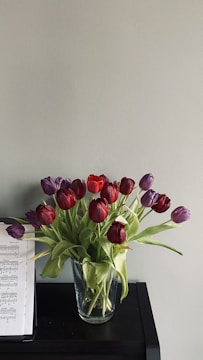 red tulips in clear glass vase