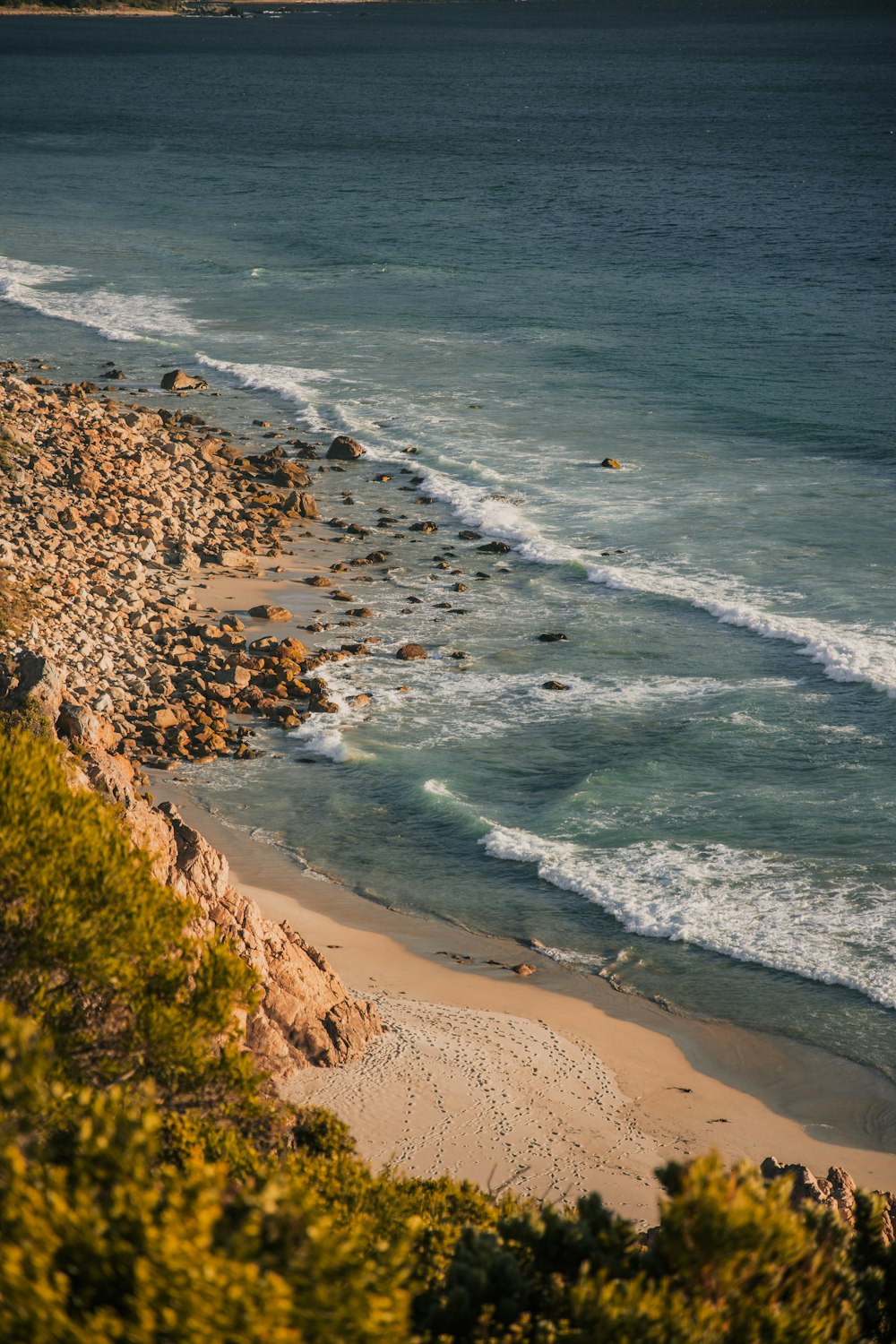 green moss on brown sand beach