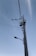 A tall utility pole is equipped with multiple wires and two large cylindrical transformers. A streetlamp extends outward from the pole, which is set against a clear blue sky.