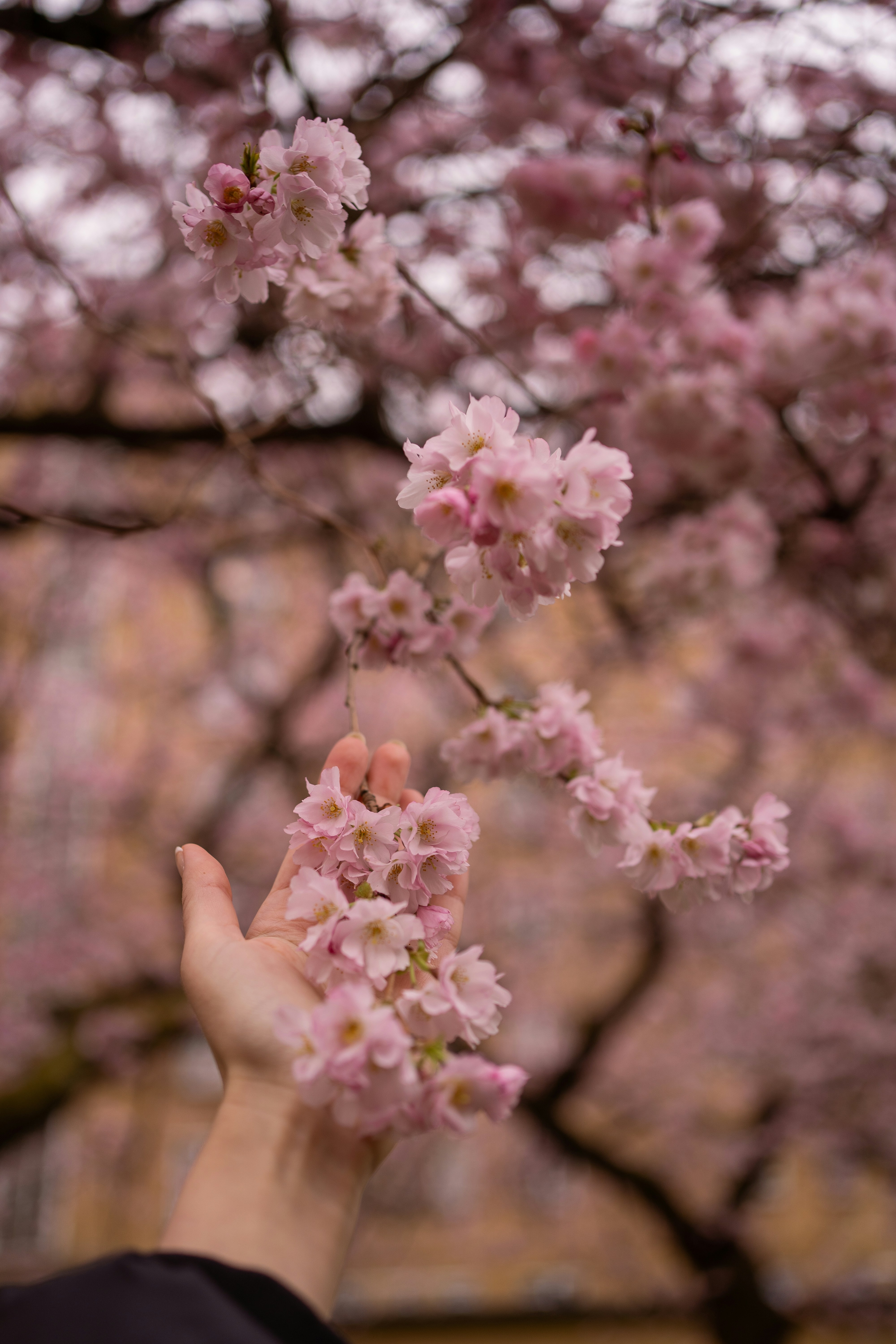 Photo by kvtedavies