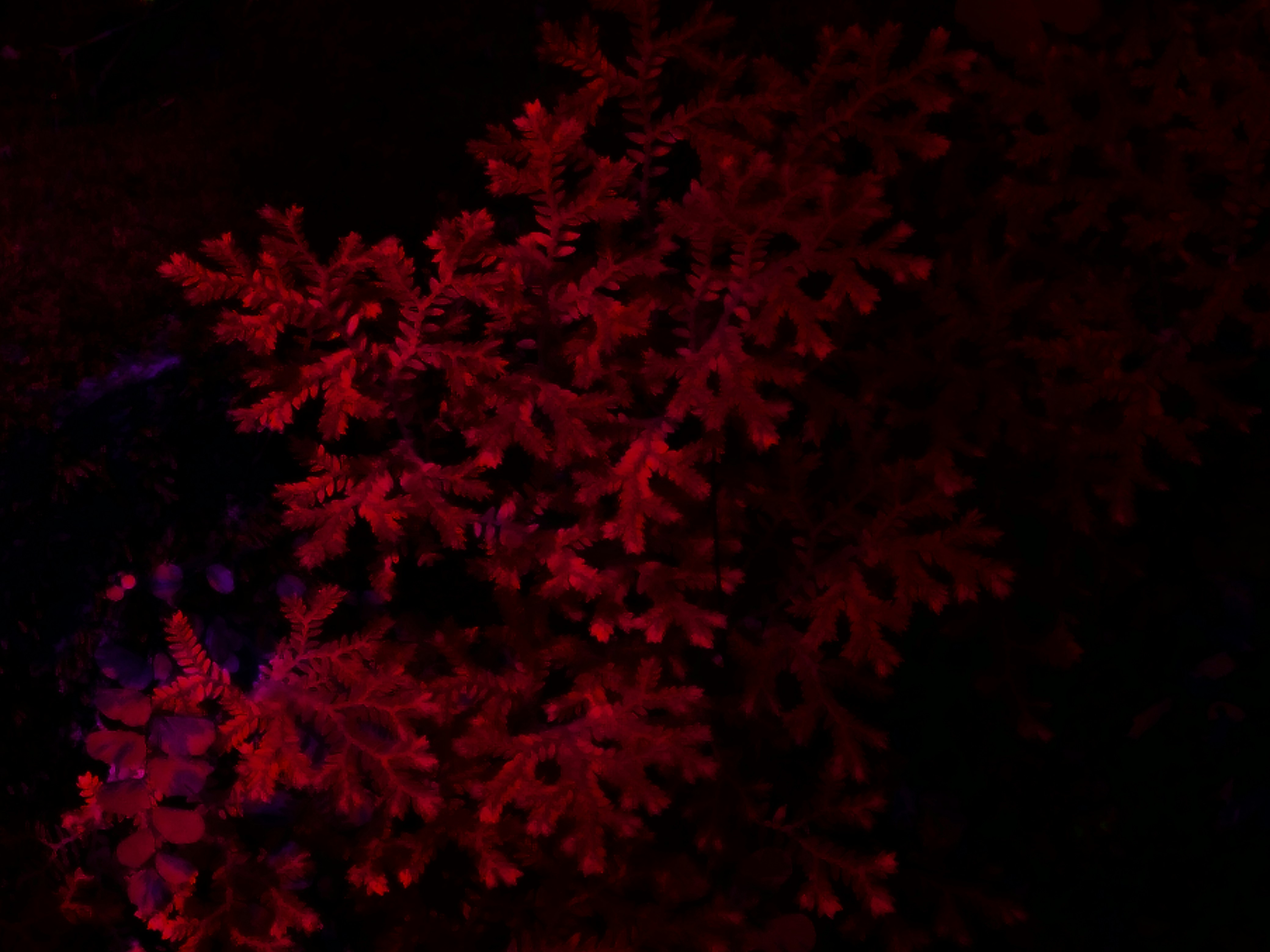 Photo by ananduvijaykumar