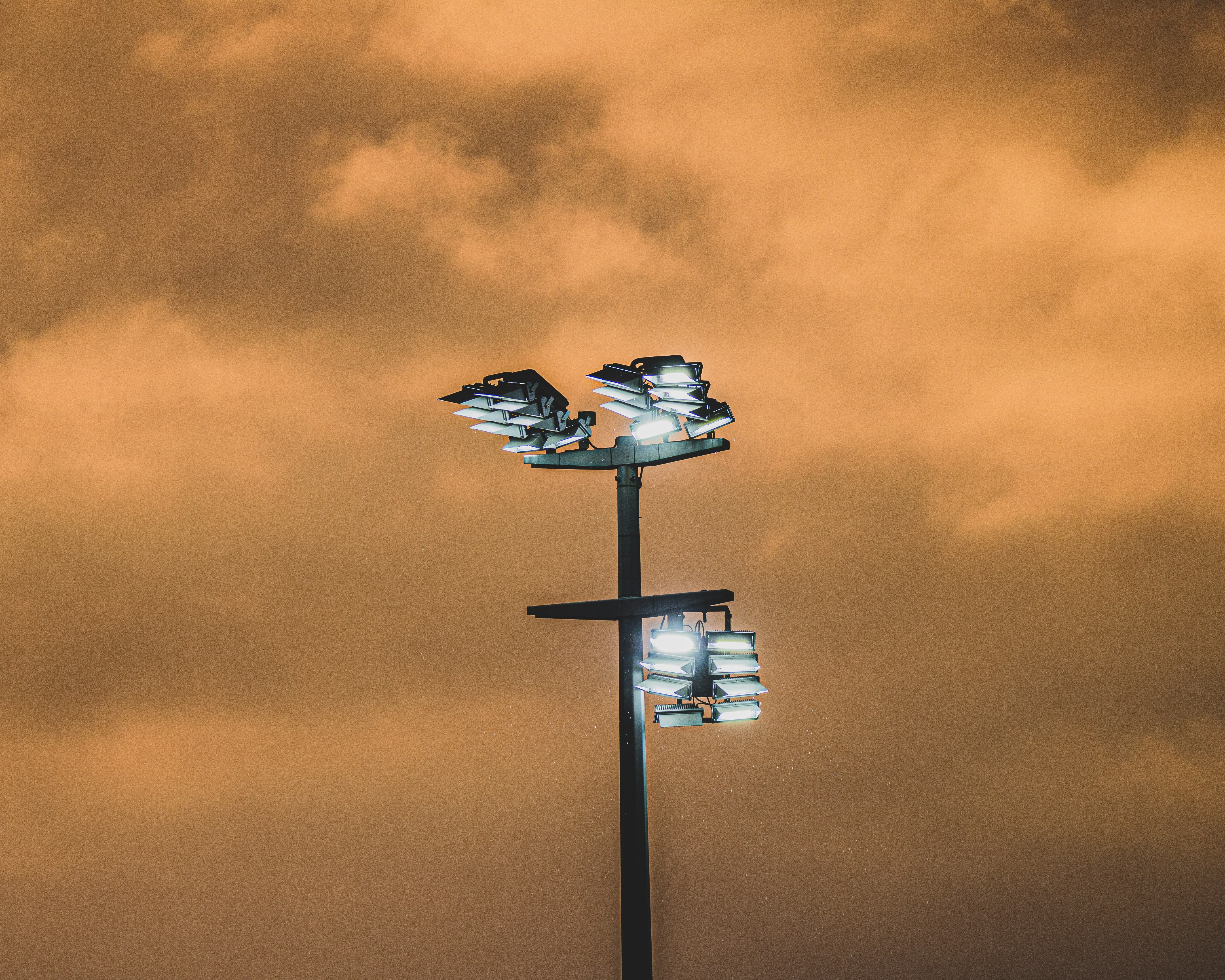 pájaro blanco y negro sobre metal blanco se encuentra bajo el cielo azul durante el día