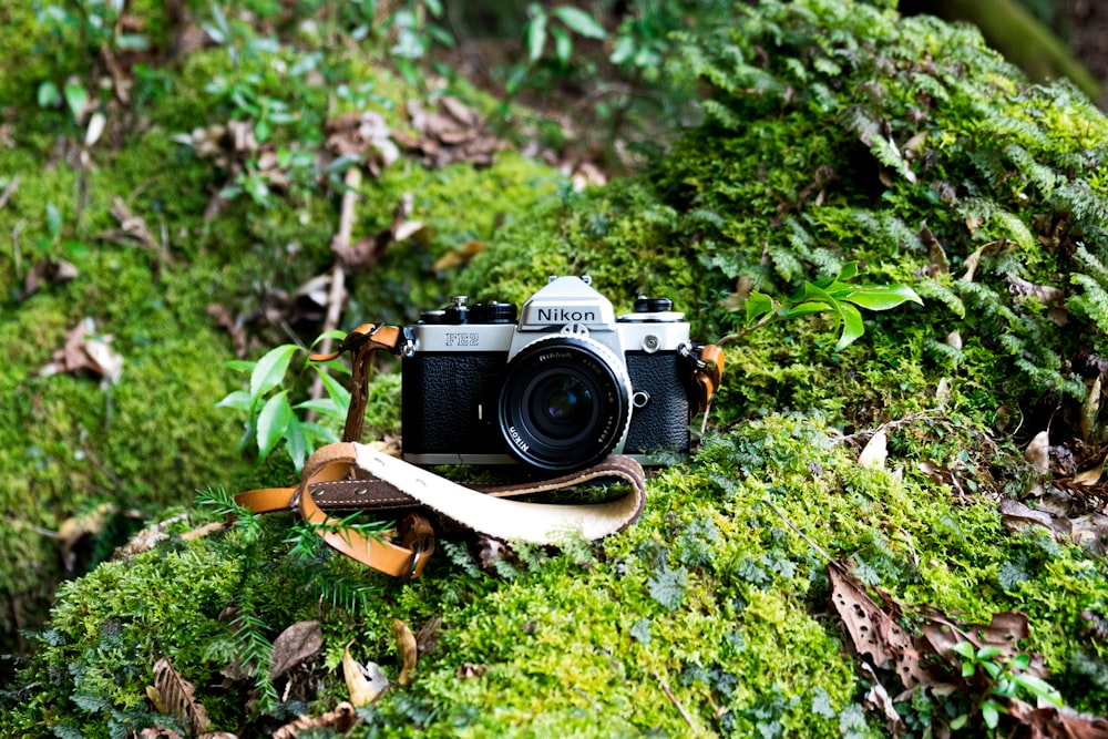 Appareil photo reflex numérique Nikon noir et argent sur l’herbe verte pendant la journée