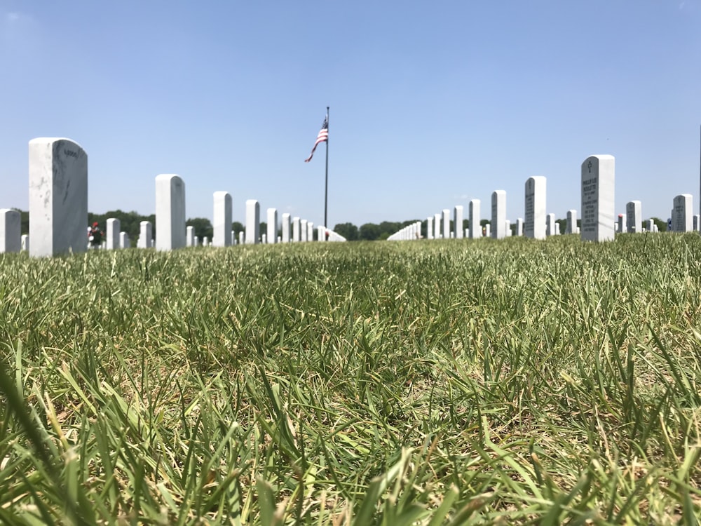 Campo de césped verde cerca de los edificios de la ciudad durante el día