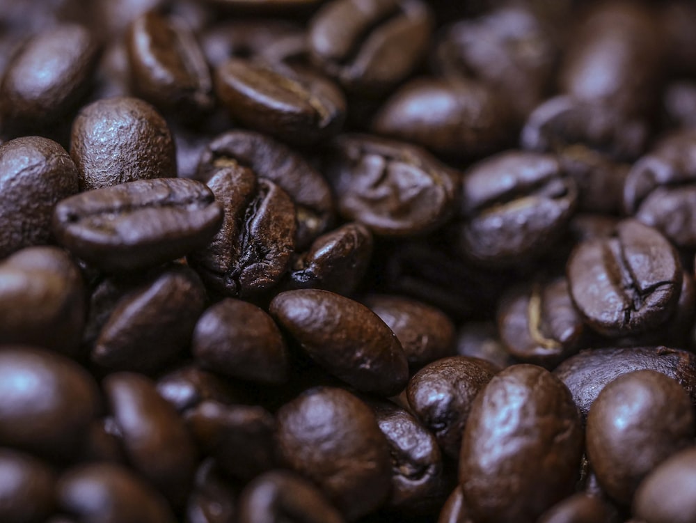 coffee beans in close up photography