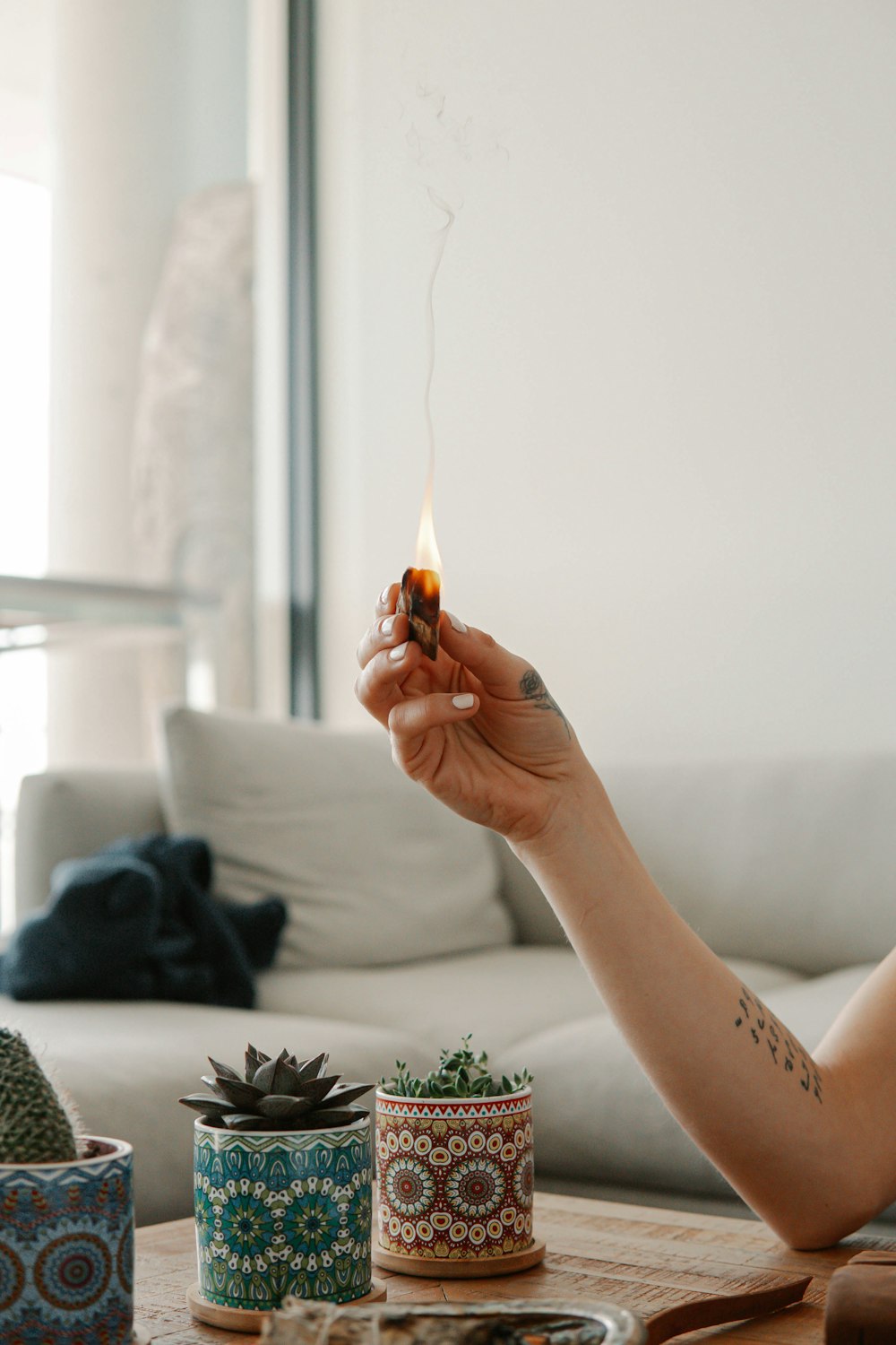 person holding orange flower in front of white wall