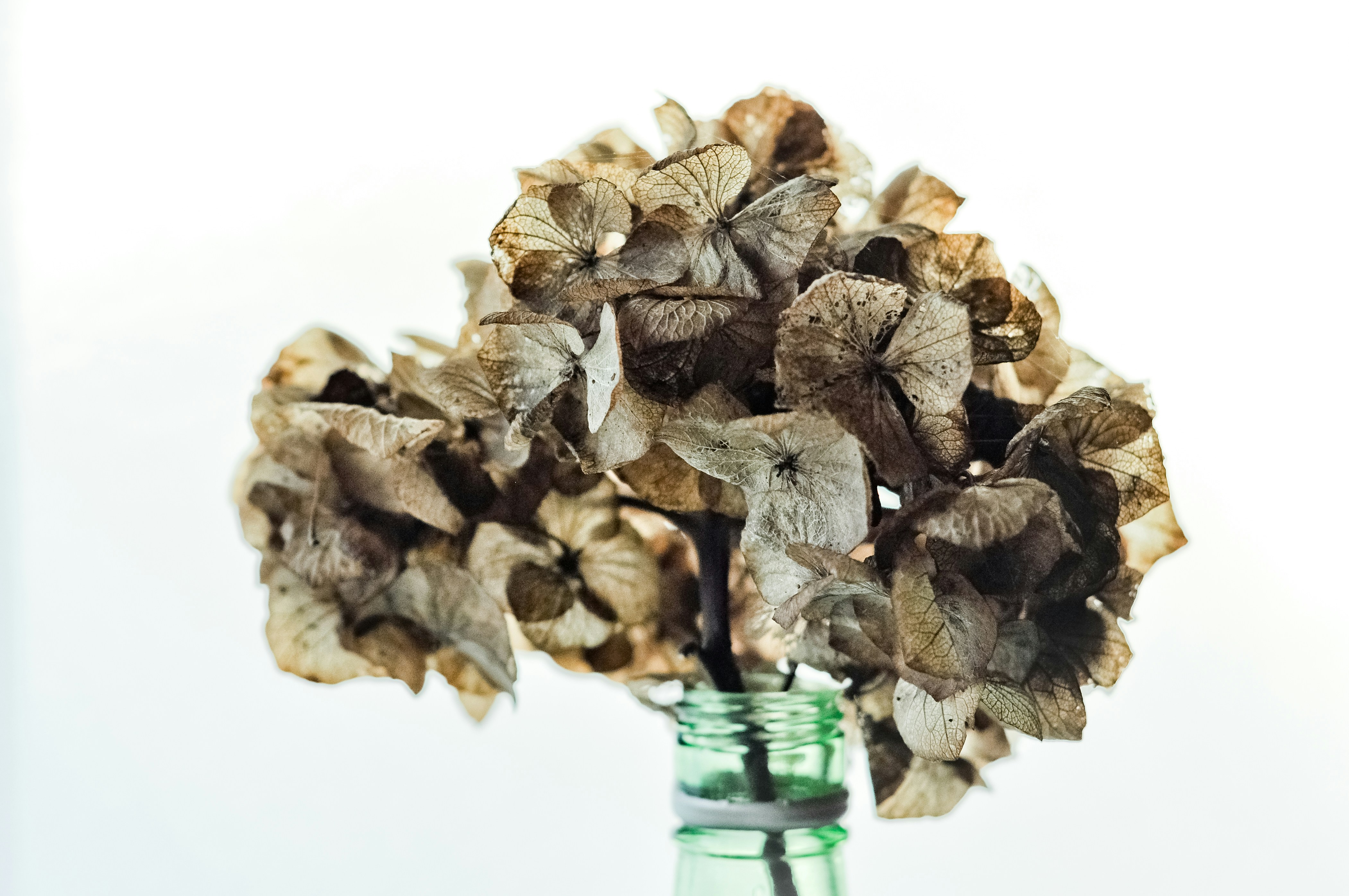 Photo by margaret_jaszowska