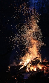 bonfire under starry night sky