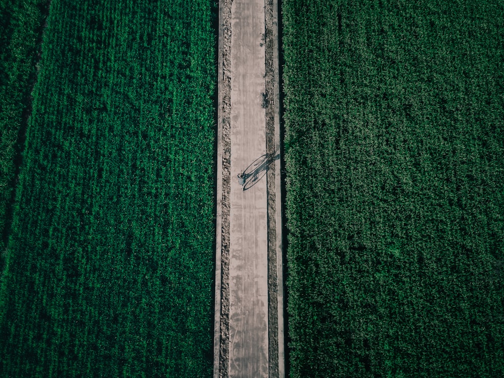 aerial view of green grass field