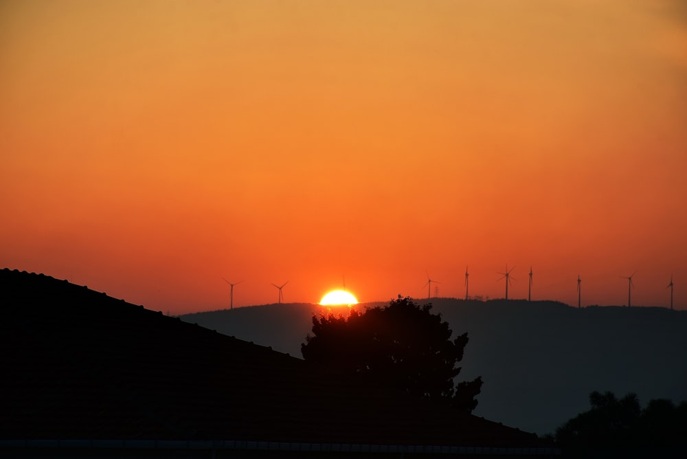 silhouette of trees during sunset