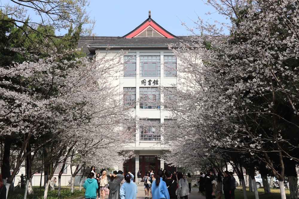 people walking on street near white concrete building during daytime