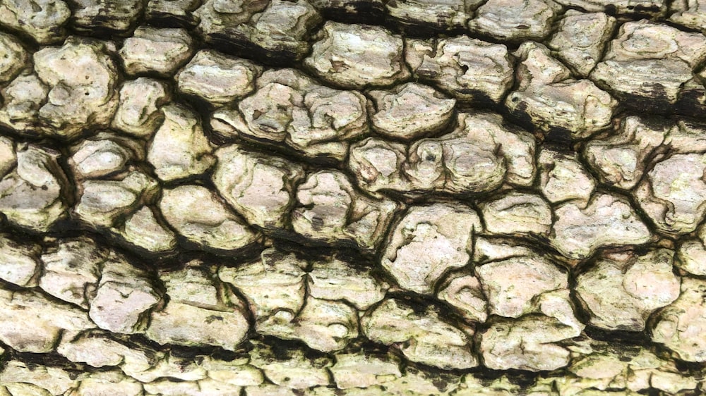 Muro de piedra gris y negra