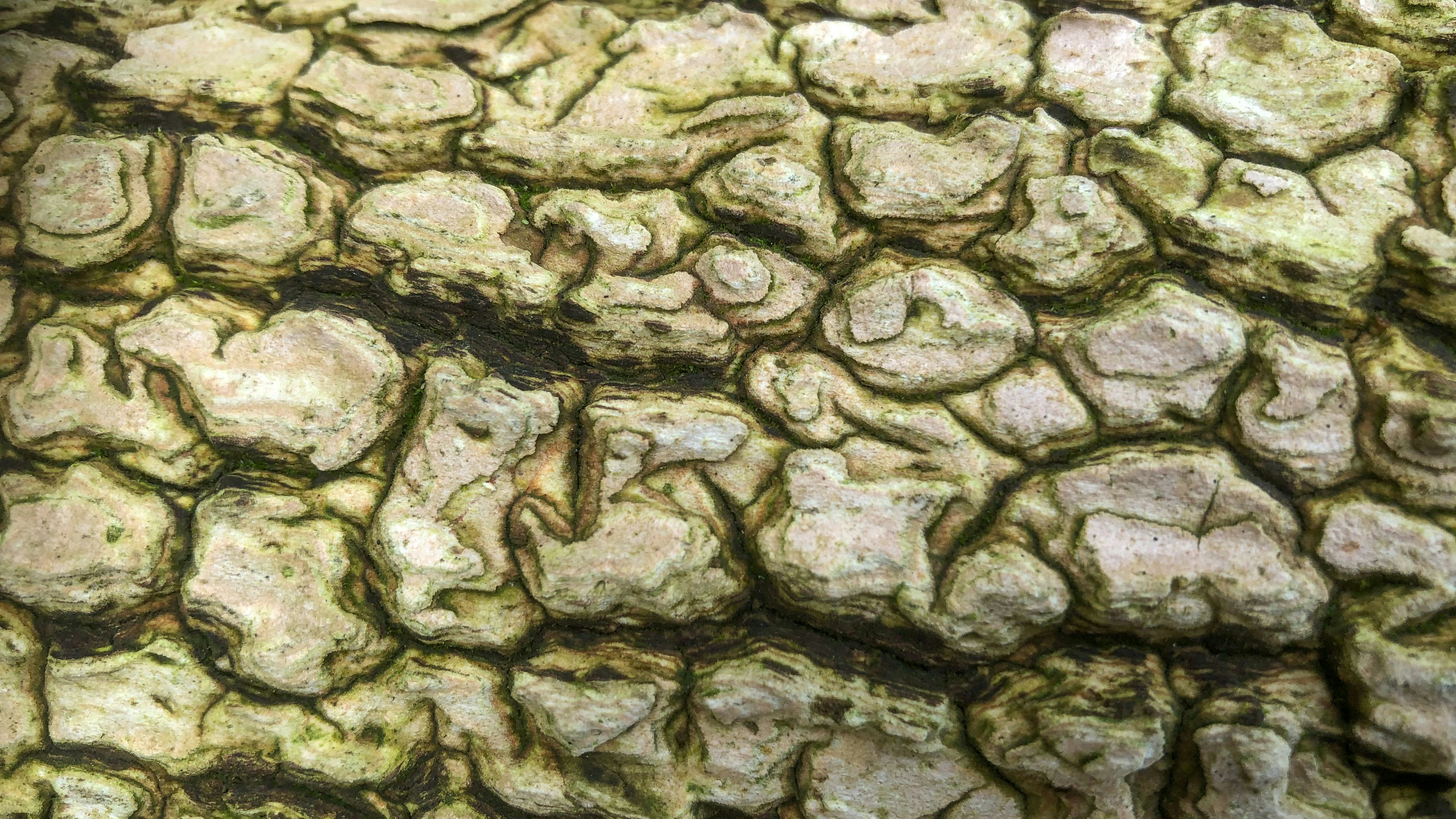 Photo by wimvanteinde