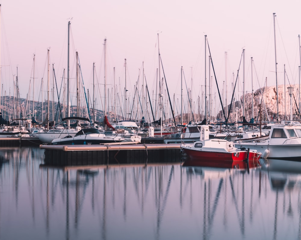 white and red boats on water during daytime